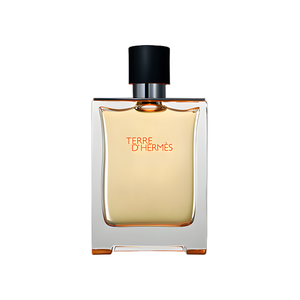 Hermès Terre d'Hermès EDT 100ml